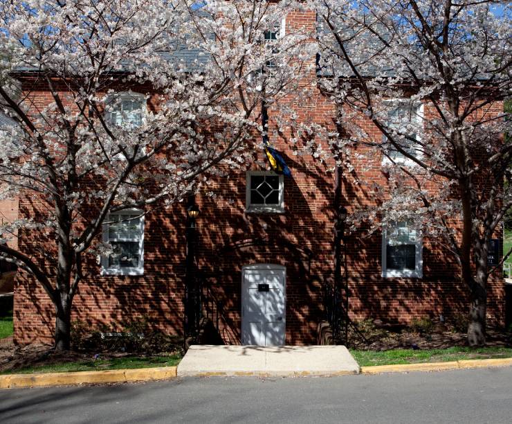 Clark Hall with two flowering trees in front