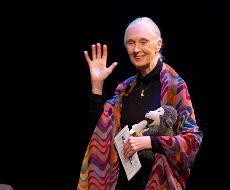 Jane Goodall waves from the stage holding a monkey stuffed animal toy.