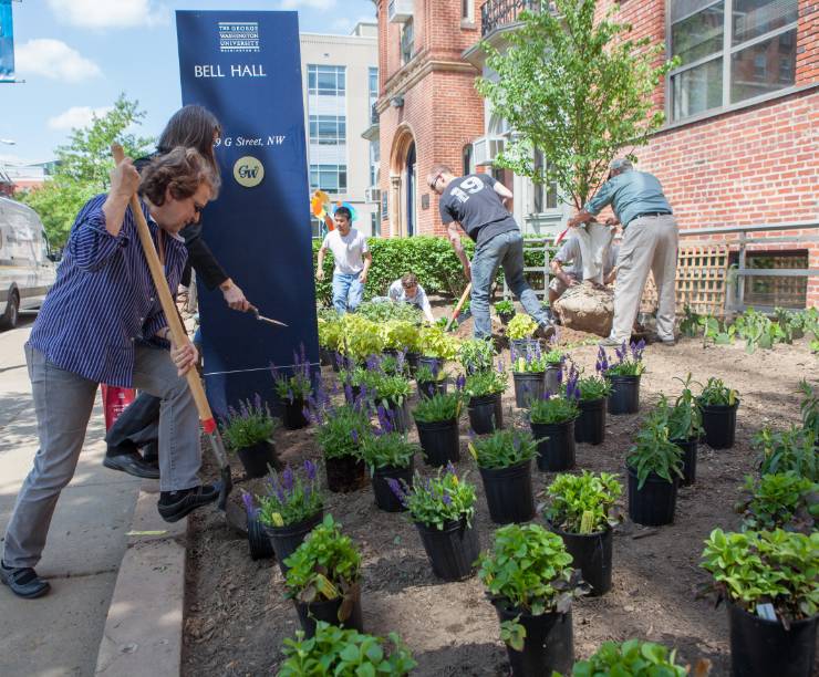 People plant flowers and a tree in front of Bell Hall.