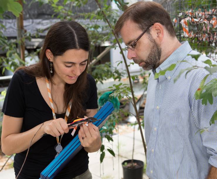 A professor and student examine caterpillars.
