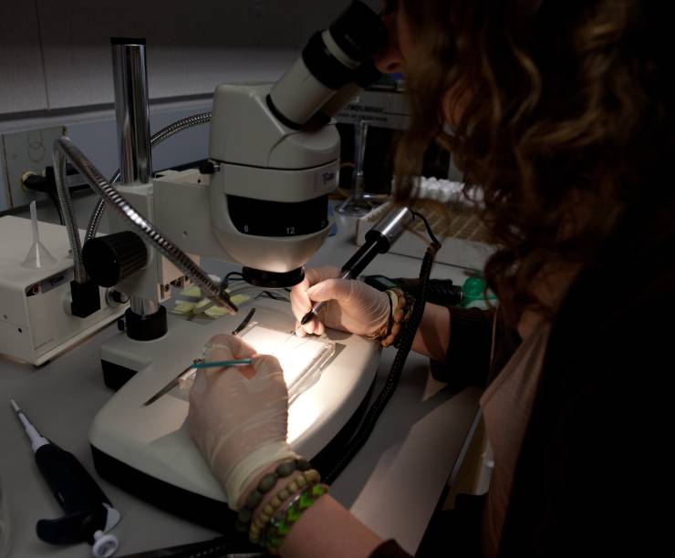 A student works at a microscope in the lab.