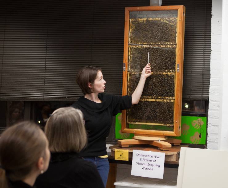 A woman standing in front of a glass-paned beehive lectures before a group.