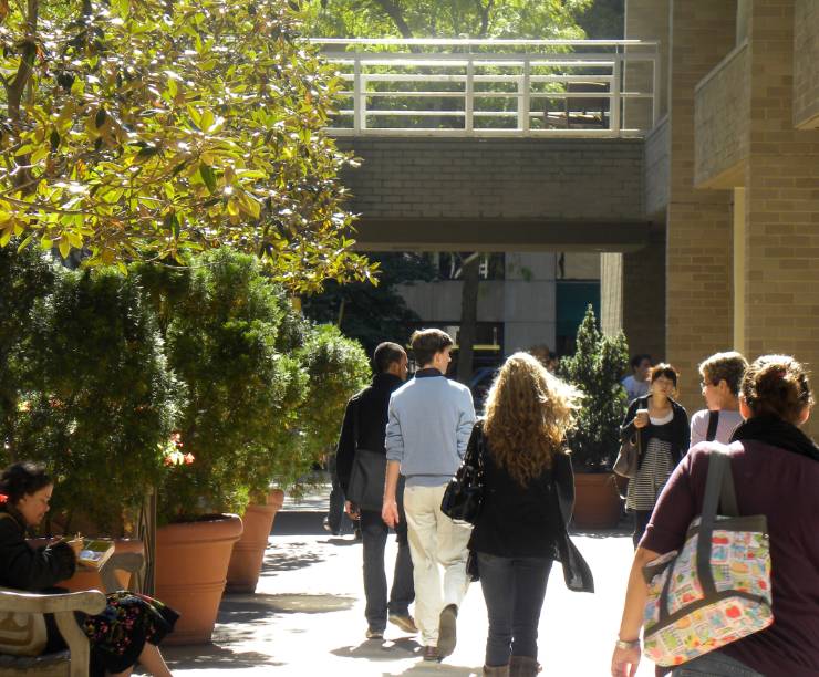 Students walk through the tree-lined walkway between academic buildings.