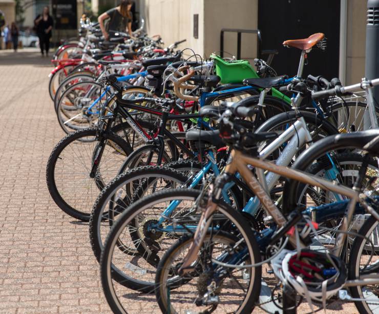A line of bicycles on campus.