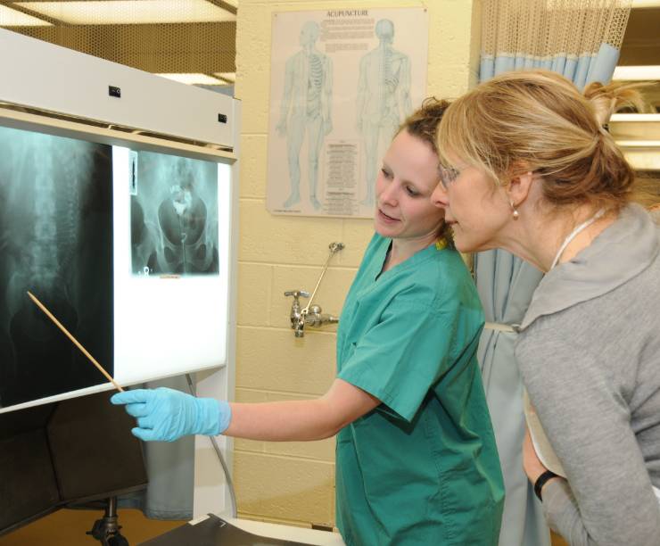 A student in scrubs discusses an x-ray with a visiting woman.