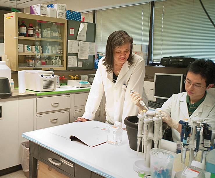 Researchers work in the lab.