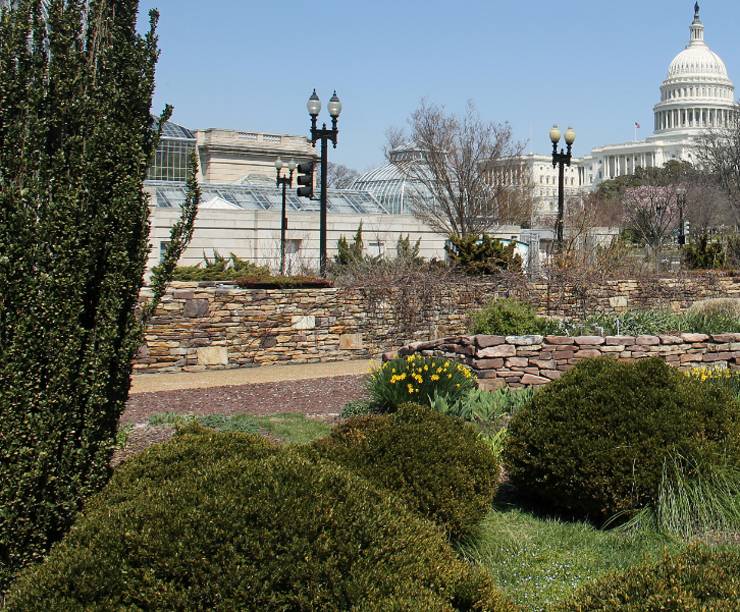 Garden with capitol Dome behind.