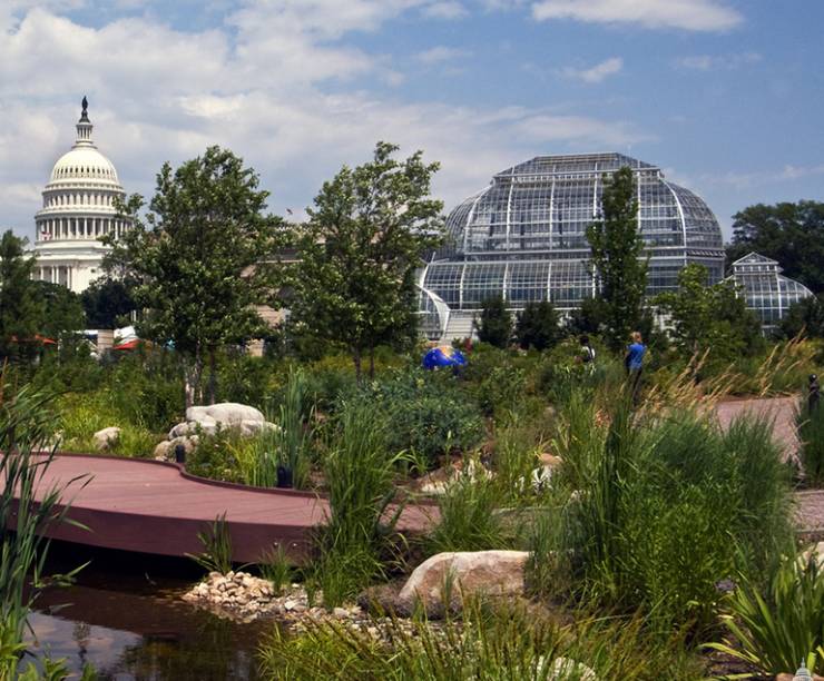Garden with pond of water and walking bridge, with glass structure and Capitol dome behind.