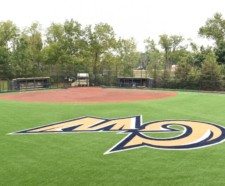 A view of the infield and outfield with a game in action.