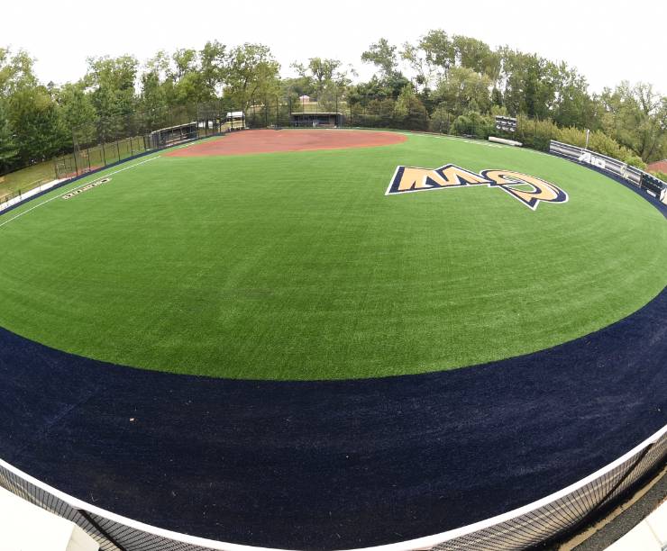 A fish-eye lens view of the green field.